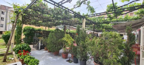 Guest House Andrea Bed and Breakfast in Budva