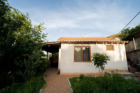Property building, Garden view