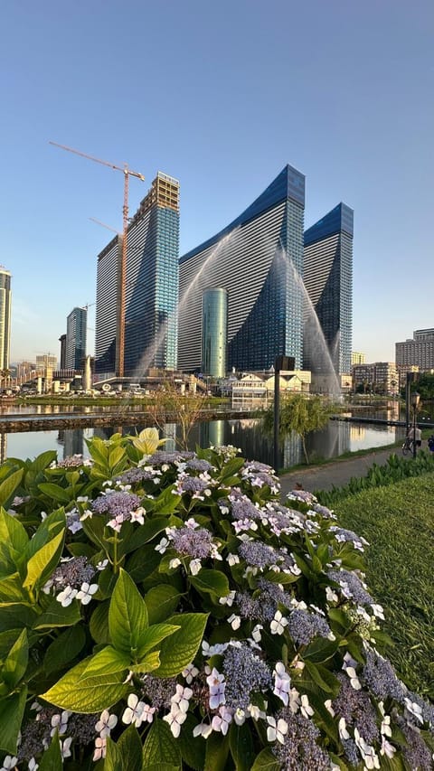 Natural landscape, Garden view