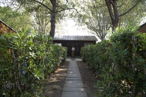 Feriendorf Le Tamerici Bungalow sg für 4 Personen House in Cecina