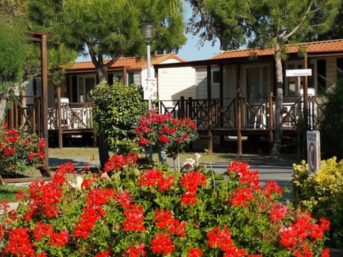 Feriendorf Le Tamerici Mobilehome Capri für 6 Personen House in Cecina