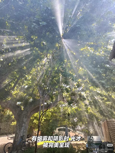 7 Rayons House in Villeneuve-lès-Avignon