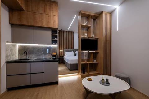 Bed, TV and multimedia, Kitchen or kitchenette, Living room, Photo of the whole room, Seating area, Bedroom