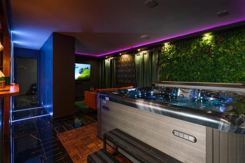 Communal lounge/ TV room, Hot Tub