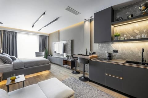 Bed, TV and multimedia, Kitchen or kitchenette, Living room, Photo of the whole room, Bedroom