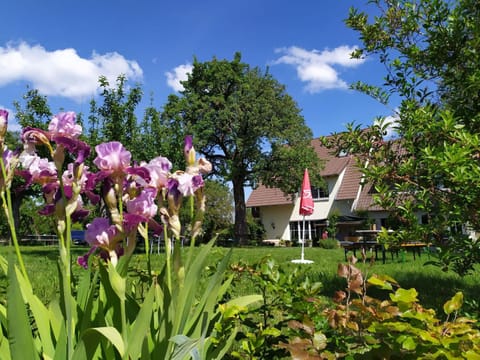 Property building, Garden