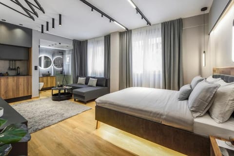 Bed, TV and multimedia, Living room, Photo of the whole room, Seating area, Bedroom