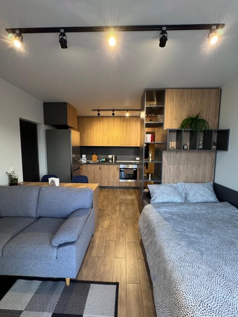 TV and multimedia, Kitchen or kitchenette, Living room, Seating area, Dining area, oven, stove