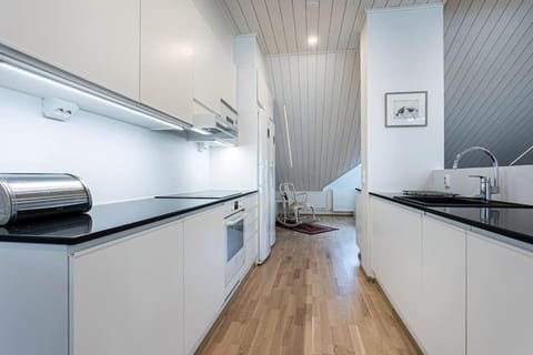 Uniikki kattohuoneisto ydinkeskustassa, lämmin pysäköinti, max 6 hlöä Apartment in Finland