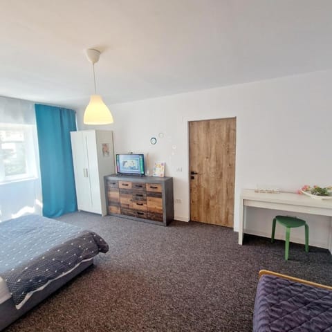 Provista Apartments - city center view Apartment in Timiș County