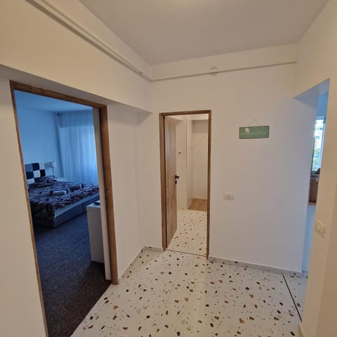 Provista Apartments - city center view Apartment in Timiș County