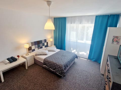 Provista Apartments - city center view Apartment in Timiș County