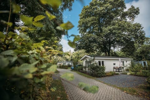 Property building, Garden, Street view