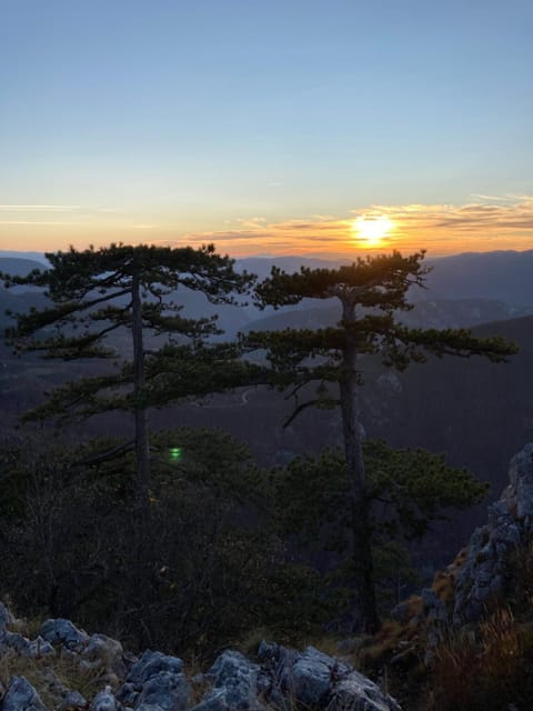 Apartman Zlatija Apartment in Zlatibor District, Serbia