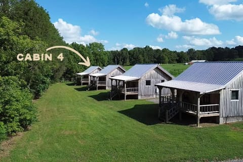 Creekside Cabin Near Waterfalls, Hiking & Lake Cabin 4 Cabin in Center Hill Lake