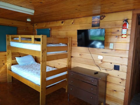 Communal lounge/ TV room, Living room, bunk bed