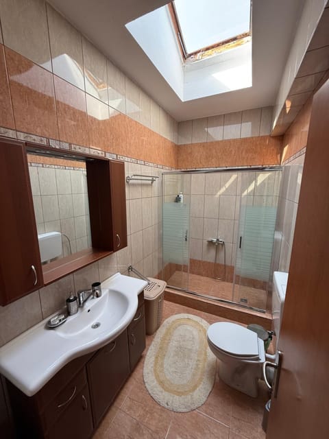 Shower, Toilet, Bathroom, Bath, towels