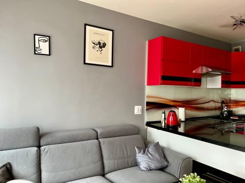 Living room, kitchen