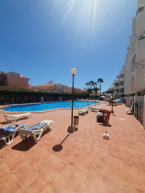 Day, Pool view, Swimming pool, sunbed