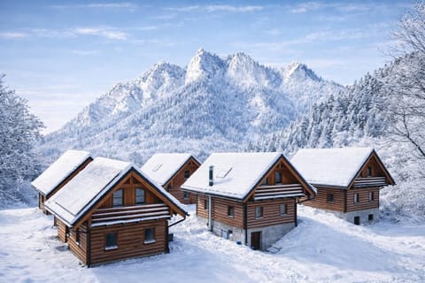 Property building, Natural landscape, Winter, Mountain view