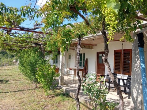 Spring, Garden, Garden view