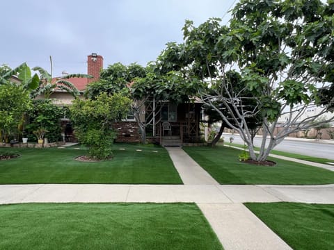 Property building, Garden view
