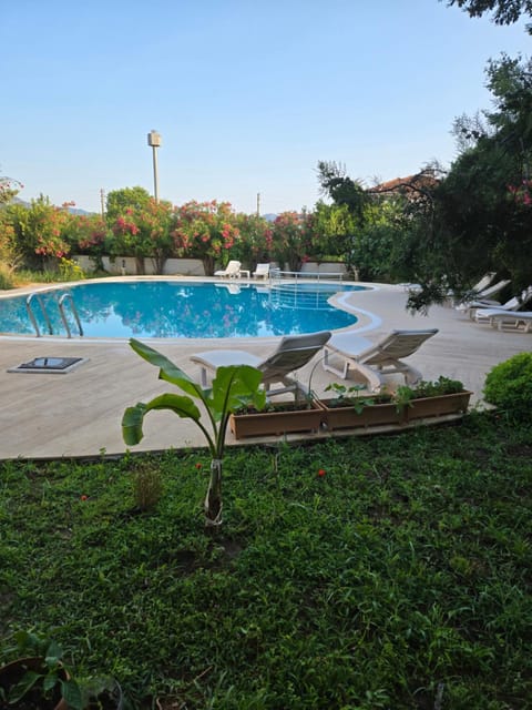 Day, Natural landscape, Garden, Garden view, Pool view, Swimming pool, sunbed
