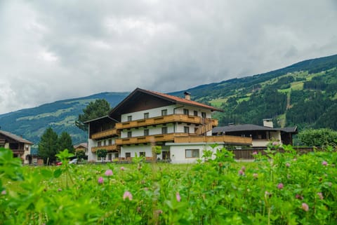 Property building, Mountain view