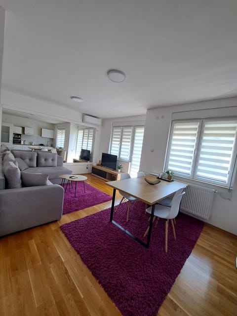 Apartman Iva Apartment in Serbia