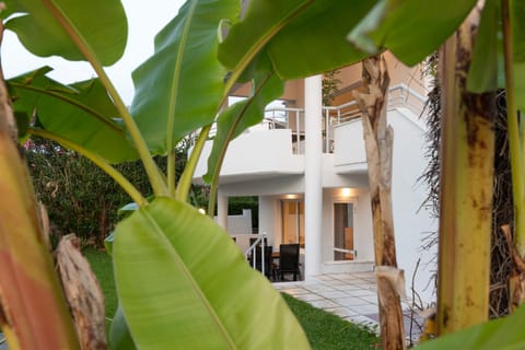 Property building, Garden view