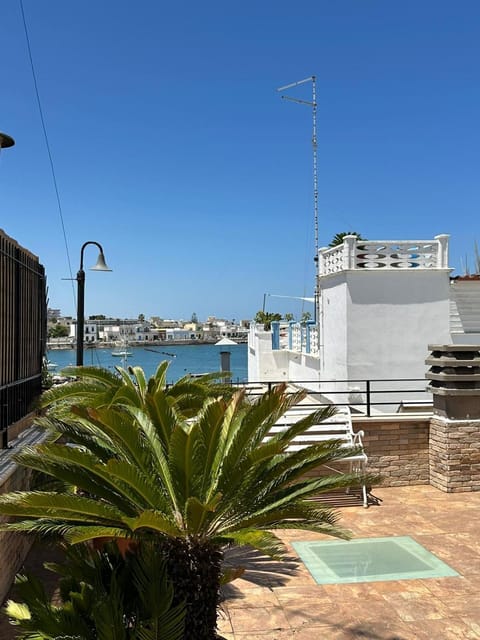 Balcony/Terrace, Balcony/Terrace