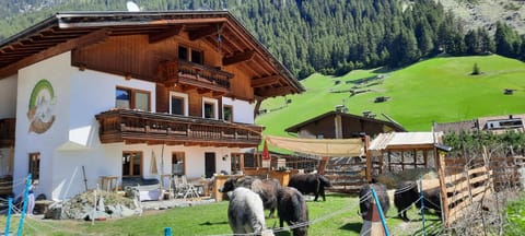 Property building, Natural landscape, Mountain view