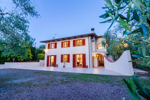 Property building, Garden, Garden view