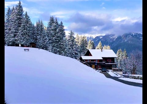 Property building, Restaurant/places to eat, Natural landscape, Winter, Mountain view