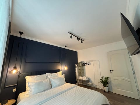 Otilia Home Apartment in Serbia