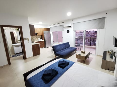 Bed, TV and multimedia, Kitchen or kitchenette, Living room, Photo of the whole room, Seating area, Dining area, Bedroom