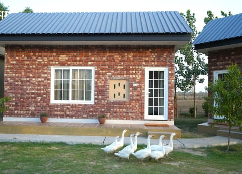 Day, Garden, Garden view