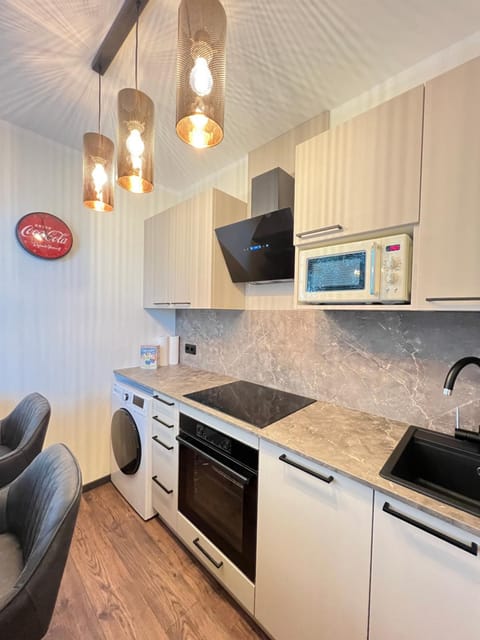 Kitchen or kitchenette, dishwasher, stove