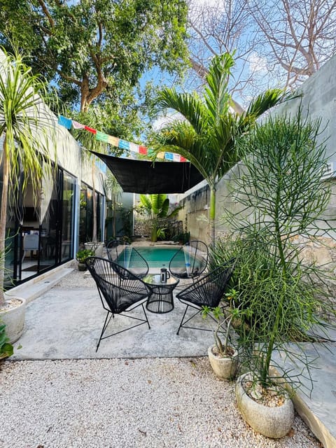 Garden, Garden view, sunbed
