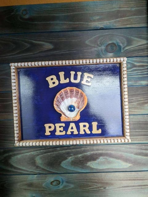 House boat on Fife Lake Docked boat in Fife Lake