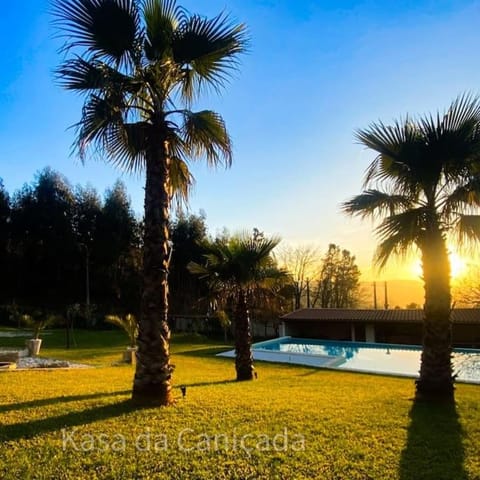Natural landscape, Garden, Garden view, Pool view, Swimming pool, Sunset
