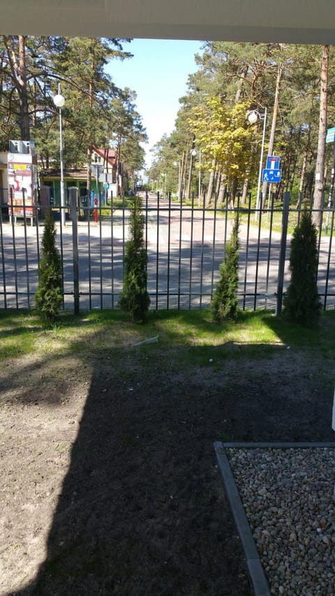 Natural landscape, Garden