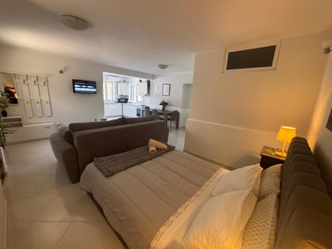 Bed, TV and multimedia, Living room, Photo of the whole room, Seating area, Bedroom