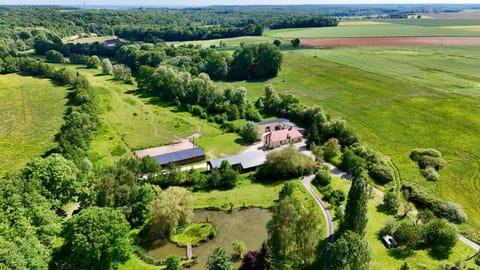 Bird's eye view, Garden