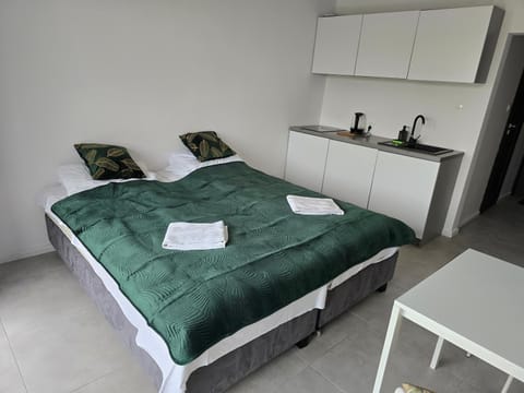 Sea Power Horyzont Apartament 1 Jedyneczka Apartment in Pomeranian Voivodeship