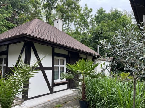Property building, Garden, Garden view