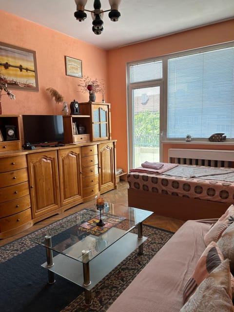 Bed, TV and multimedia