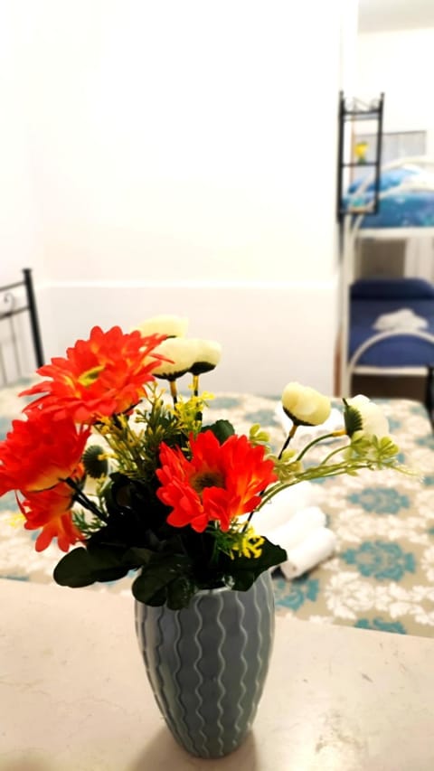 Stellina in centro Sweet Apartaments Apartment in Vasto