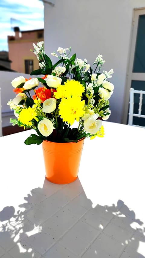 Stellina in centro Sweet Apartaments Apartment in Vasto