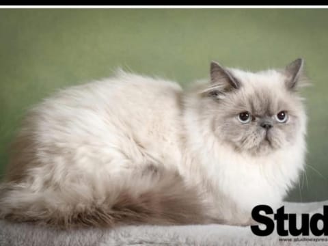 Blå rummet - Rum i familjärt boende - Sängkläder & handdukar ingår Vacation rental in Kalmar County, Sweden